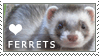 stamp: heart ferrets