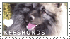 stamp: heart keeshonds